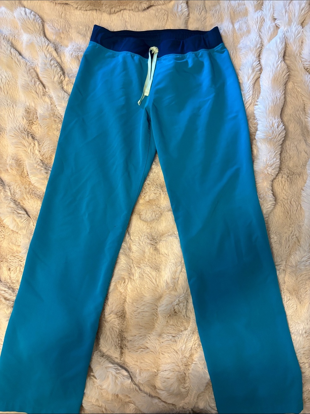 Women’s teal figs scrub pants Livingston